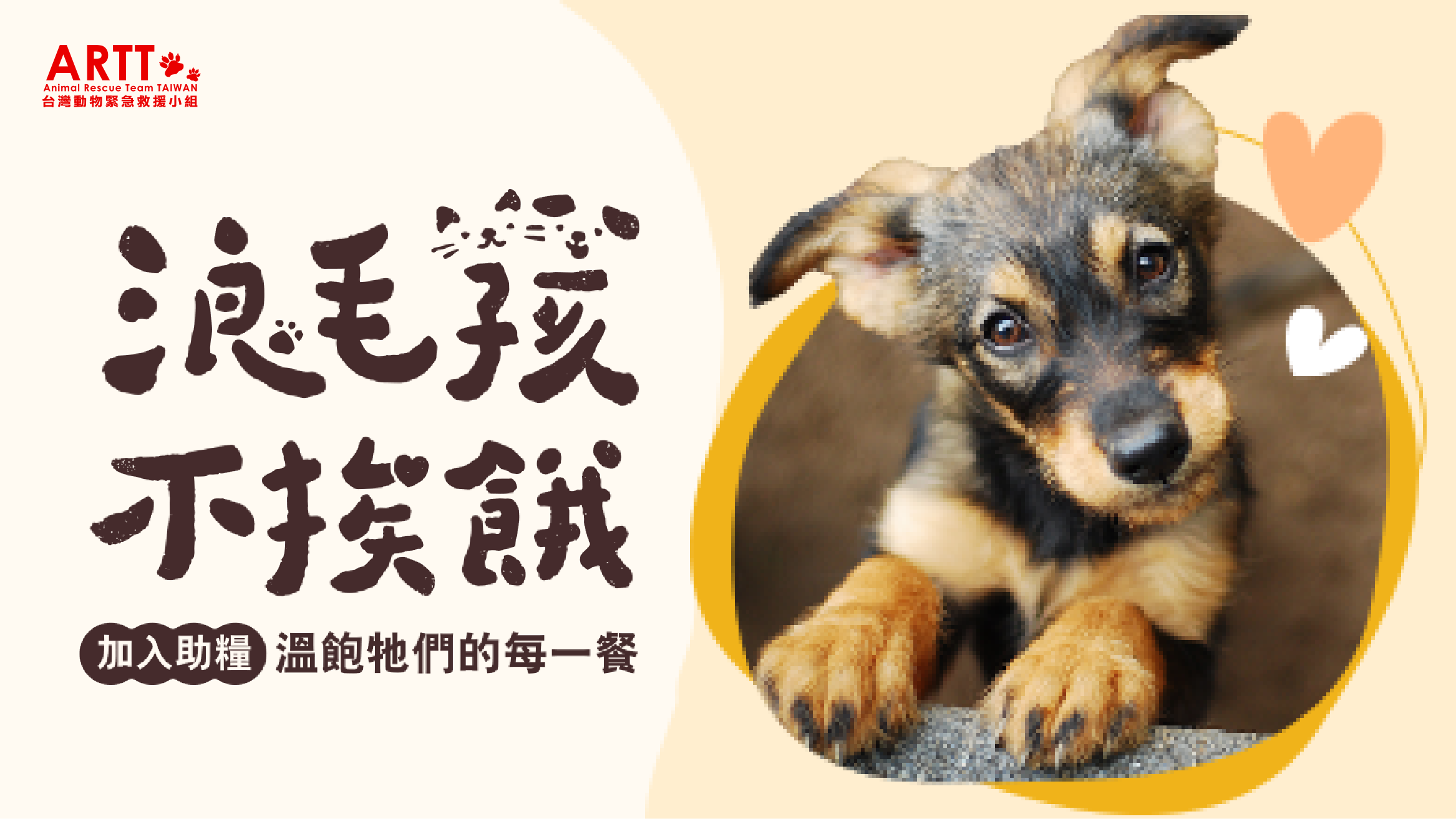臺灣動物緊急救援推廣協會｜浪毛孩不挨餓活動